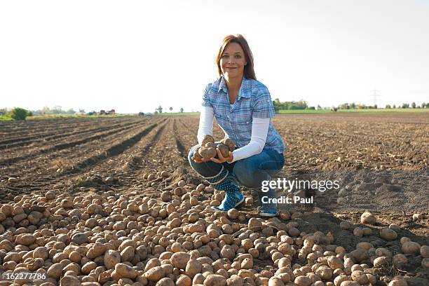 woman harvesting - camicetta a quadri foto e immagini stock