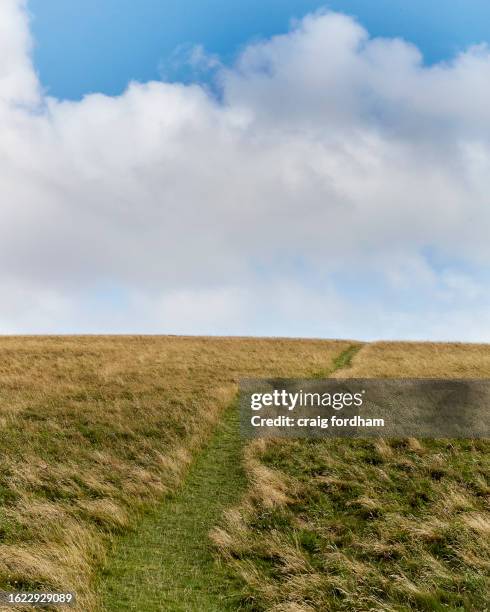 east sussex countryside. - minamalist stock pictures, royalty-free photos & images