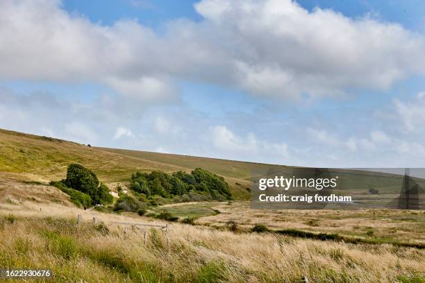 east sussex countryside. - south downs national park stock pictures, royalty-free photos & images