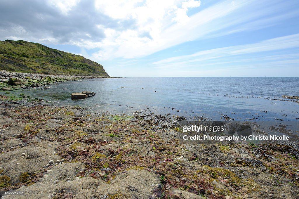 Dorset Coast