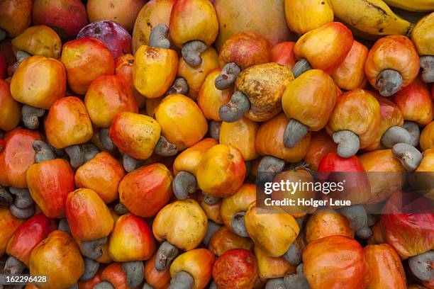 cashew nuts for sale at market in old town - cashew fotografías e imágenes de stock