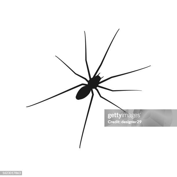 stockillustraties, clipart, cartoons en iconen met spider icon. - fobie