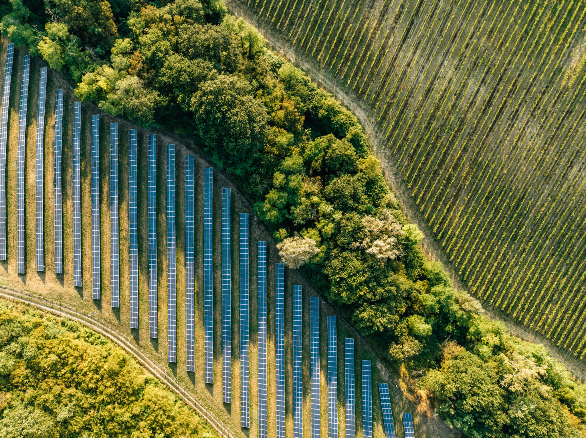 sustainable photography