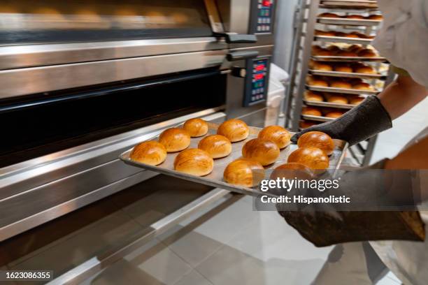 close-up on a baker taking out a tray of fresh bread from the oven - oven stock pictures, royalty-free photos & images