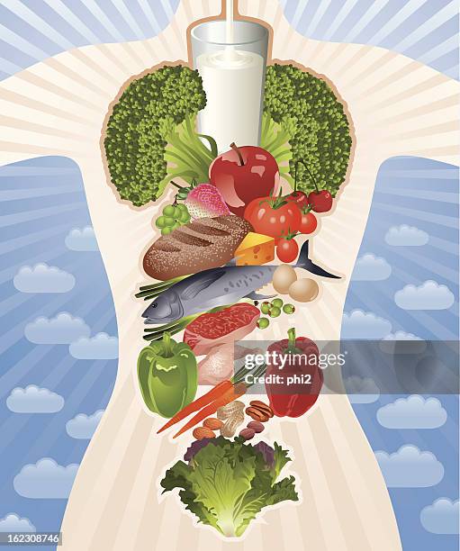 healthy body composed by healthy food vector - illustration of the human body stock illustrations