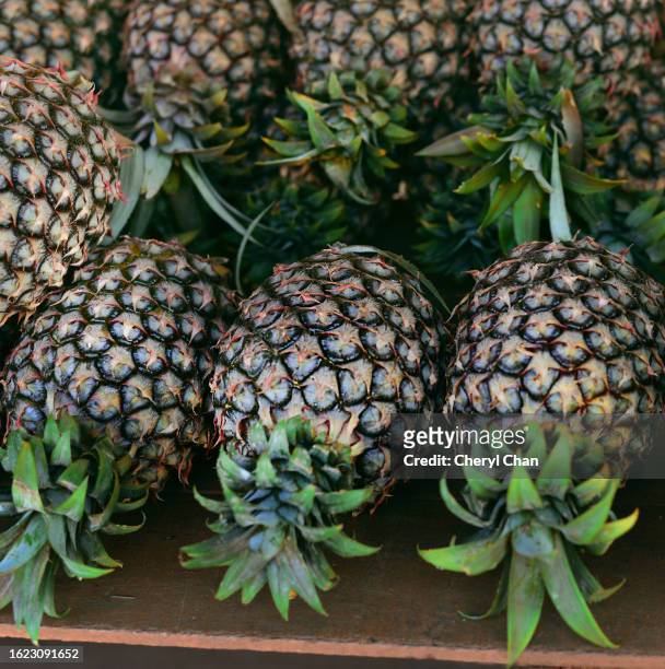 pineapple - perak state stock pictures, royalty-free photos & images