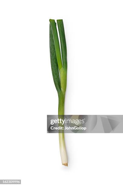 spring onion - bosui stockfoto's en -beelden