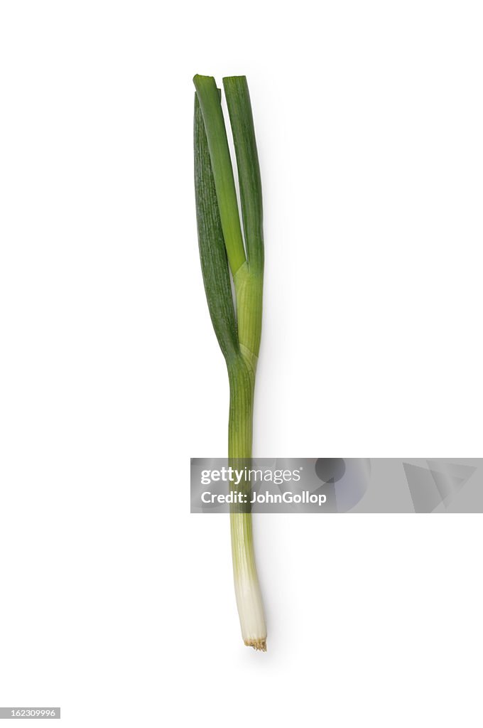 Spring Onion