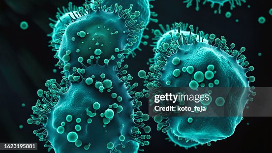 Cancer malignant cells Cancer malignant cells