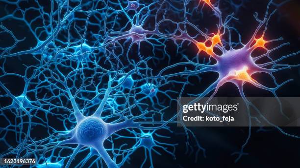 firing neurons - sistema nervoso imagens e fotografias de stock
