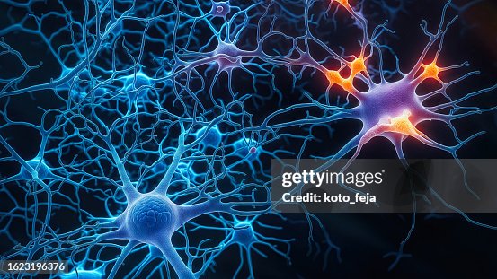 Firing Neurons Firing Neurons
