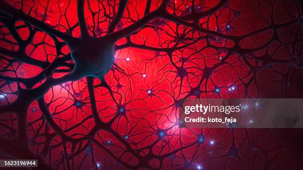 neuron system disease - multiple sclerose stockfoto's en -beelden
