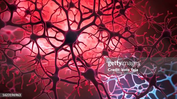 malattia del sistema neuronale - sistema nervoso centrale foto e immagini stock