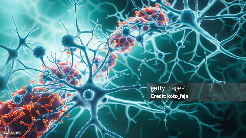 Neuronen und Mikroglia