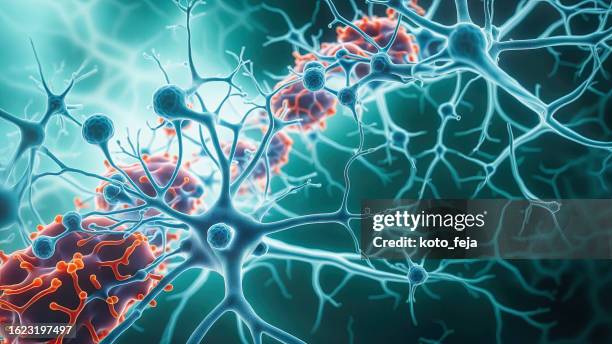neuronen und mikroglia - neurowissenschaften stock-fotos und bilder