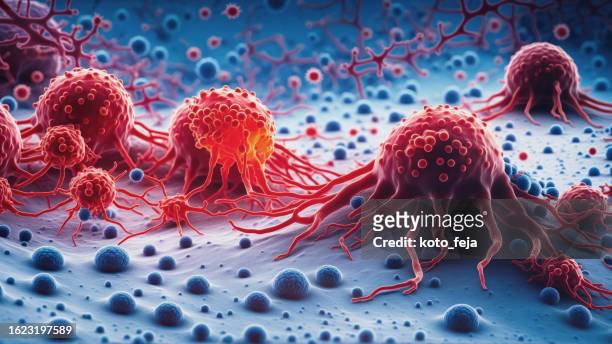 krebszellen vis - cancer cell stock-fotos und bilder