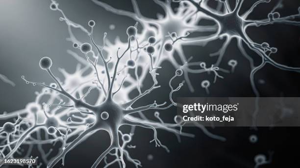 firing neurons - nervous tissue stock pictures, royalty-free photos & images