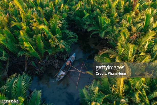 captura de peces en la selva de la palma de nipa - quảng ngãi fotografías e imágenes de stock