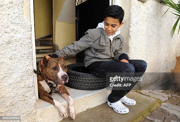 Boy pets a Pit Bull terrier lying on the front step of the owners home on January 30, 2012 in the Moroccan city of Fez. Morocco is looking to pass...