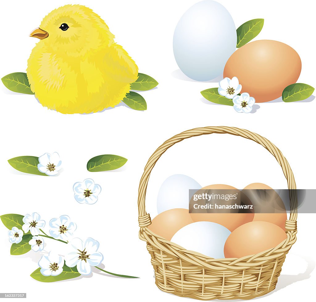 Easter Spring Vector Vector Easter And Spring Element High-Res Vector Graphic - Getty Images