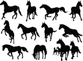 A display of horse icons in different positions of running
