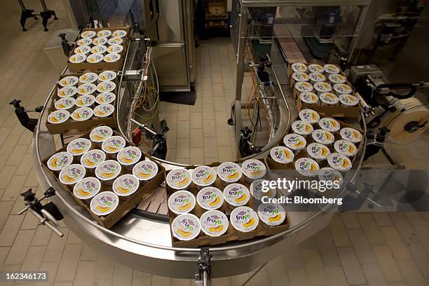 Sealed cartons of Fruyo peach-blended Greek yoghurt pass along a conveyor belt during manufacture at the Fage Dairy Industry SA plant in Athens,...