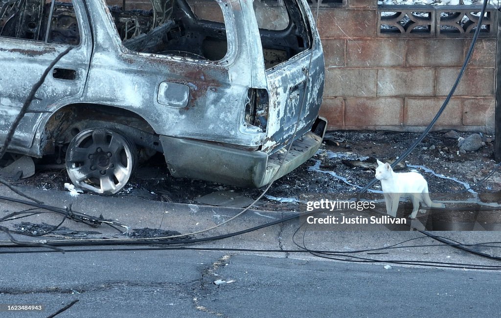 Over One Hundred Killed In Maui Wildfire Leaving The Town Of Lahaina Devastated