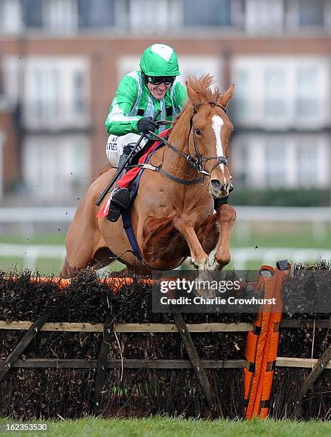 Tony McCoy jumpes the last hurdle on Shotavodka to win The Chris Baker's 40th birthday hurdle race at Sandown Park racecourse on February 22, 2013 in...