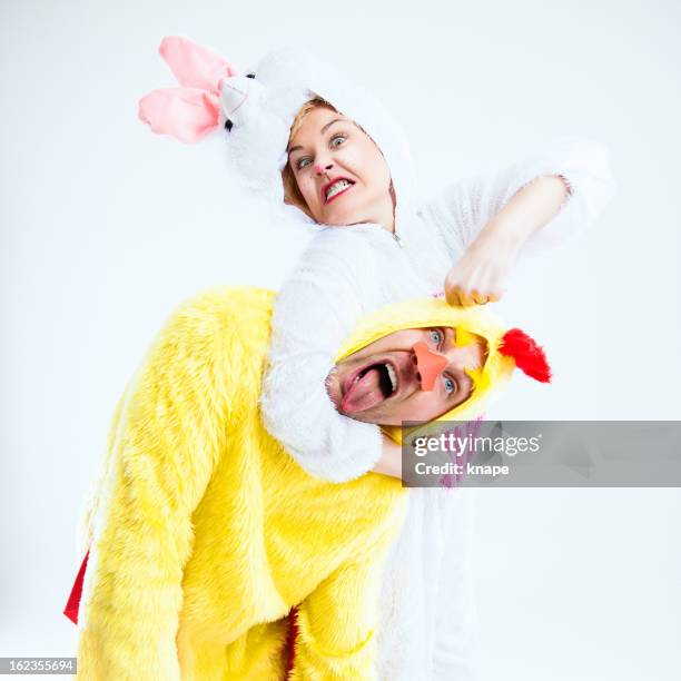 easterrabbit and chicken fighting - easter bunny man stock pictures, royalty-free photos & images