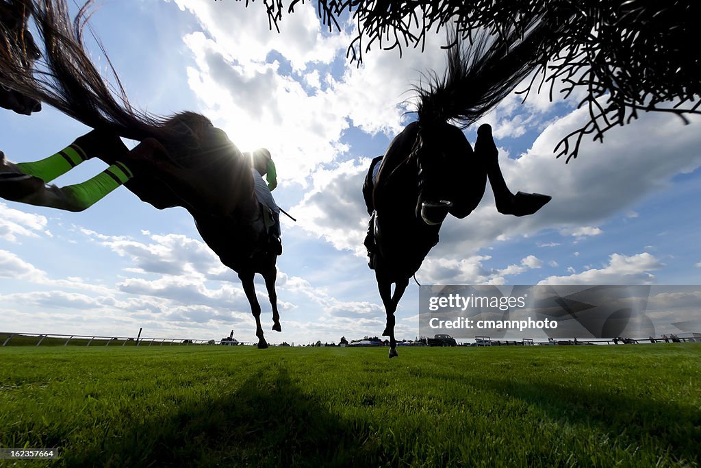 Low angle view Horse Racing Steeplechase jumping