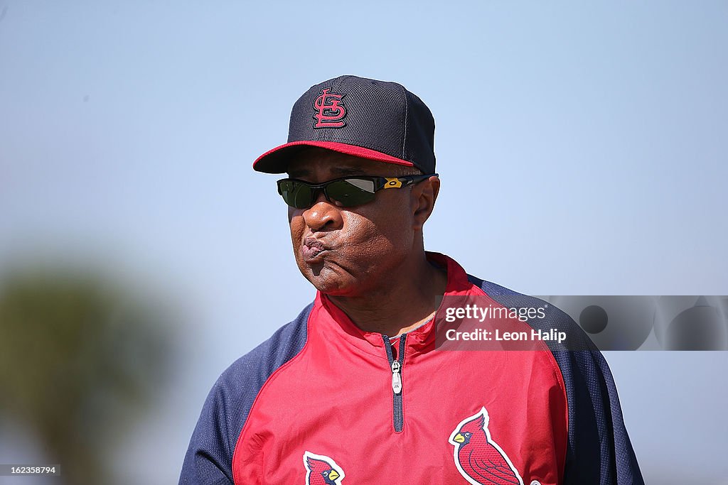 St Louis Cardinals Workout Day