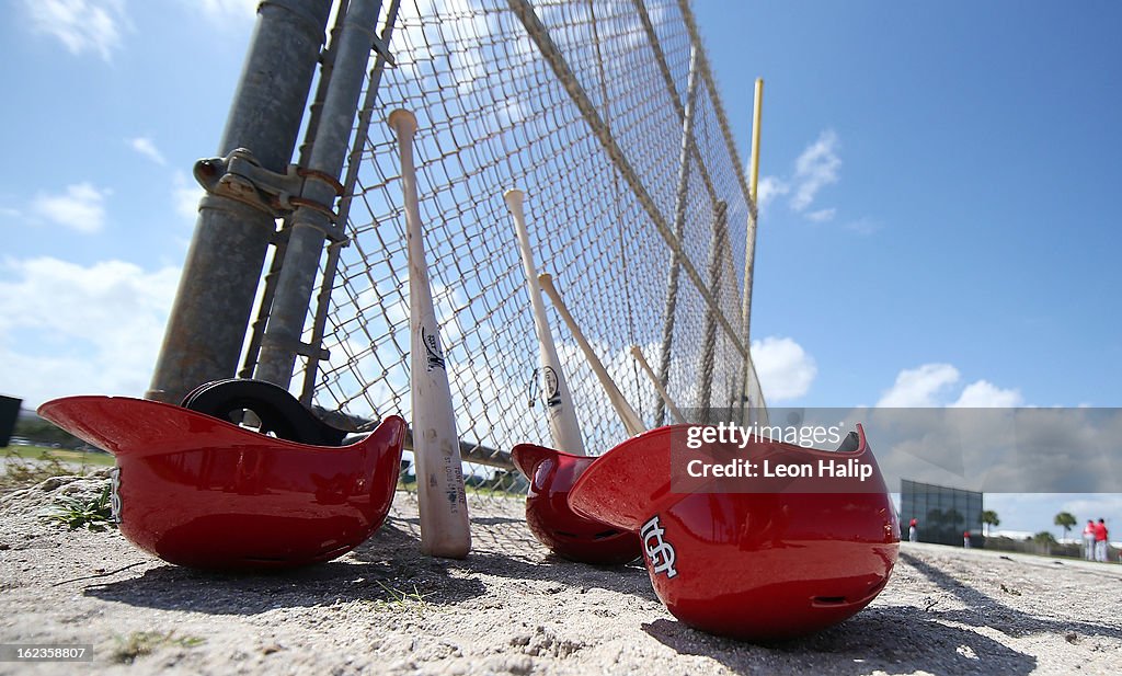 St Louis Cardinals Workout Day