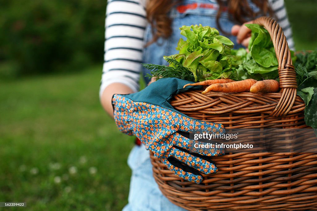 Gardener holding a basket full of fresh vegetables