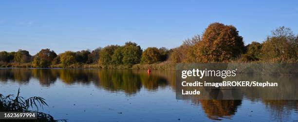 view in the evening sun across the teltow canal to the schoenow district, steglitz-zehlendorf district, berlin, germany - teltow canal stock-fotos und bilder