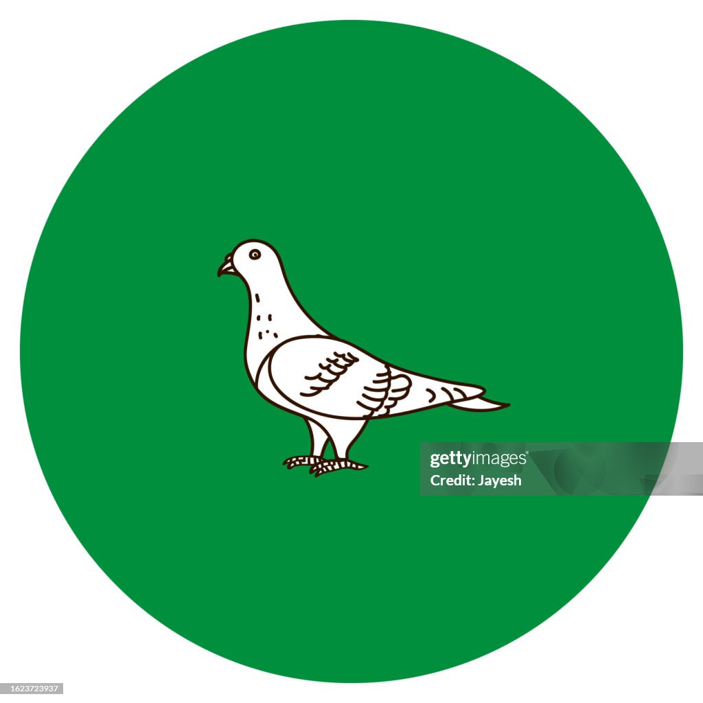 Pigeon Doodle