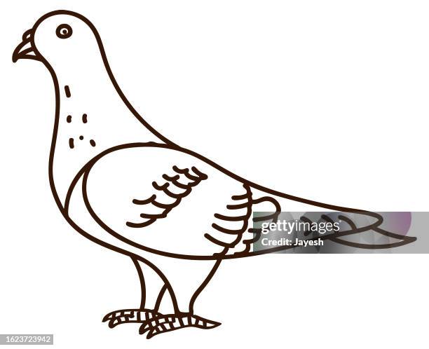 pigeon doodle - seattle downtown street stock illustrations