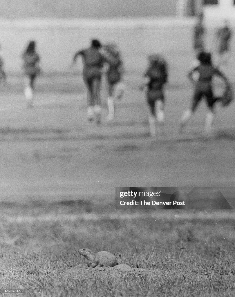 OCT 20 1971; Fading Scene At Hamilton Junior High; Prairie dog sits quietly by hole while students t