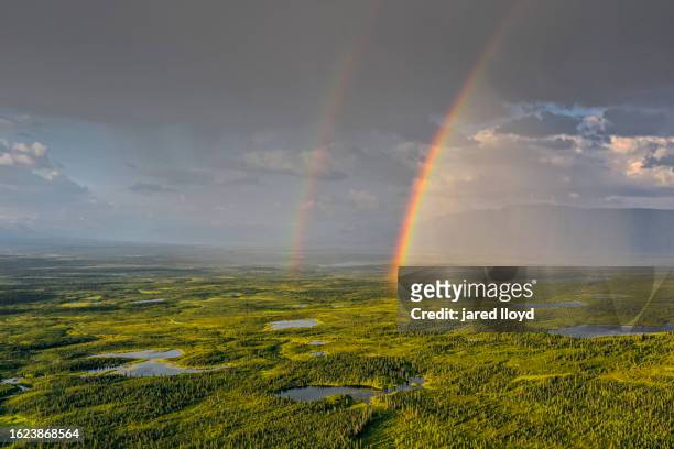 double rainbow over the boreal forest - boreal forest stock pictures, royalty-free photos & images