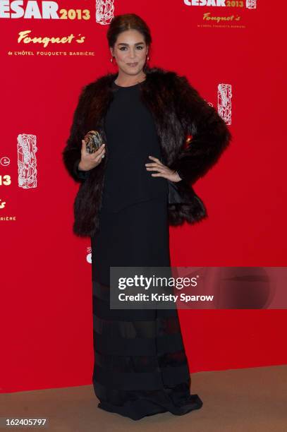 Leila Bekhti attends the Cesar Film Awards 2013 at Le Fouquet's on February 22, 2013 in Paris, France.