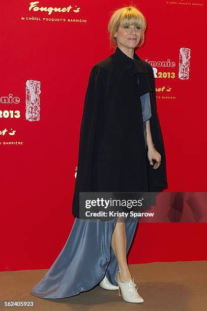 Marina Fois attends the Cesar Film Awards 2013 at Le Fouquet's on February 22, 2013 in Paris, France.