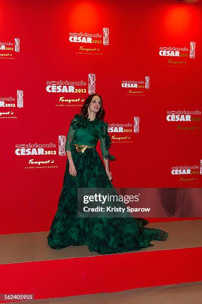 Berenice Bejo attends the Cesar Film Awards 2013 at Le Fouquet's on February 22, 2013 in Paris, France.