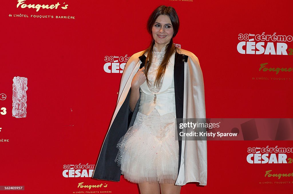 Red Carpet Arrivals At Le Fouquets - Cesar Film Awards 2013