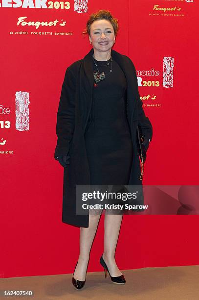 Catherine Frot attends the Cesar Film Awards 2013 at Le Fouquet's on February 22, 2013 in Paris, France.