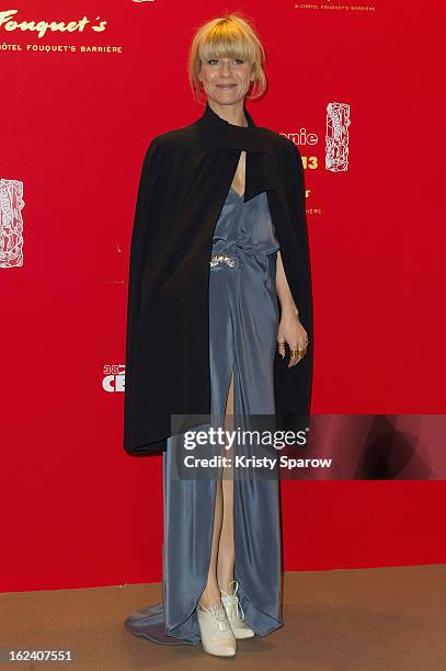 Marina Fois attends the Cesar Film Awards 2013 at Le Fouquet's on February 22, 2013 in Paris, France.