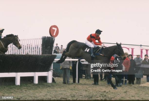 Jon Jo O''Neil on Dawn Run jumps a fence during the Cheltenham Gold Cup at Cheltenham, England. Dawn Run came first in the race. \ Mandatory Credit:...