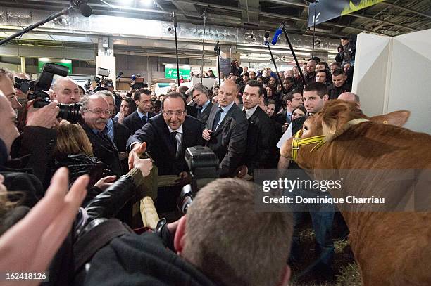 French President Francois Hollande visits the 50th International Agriculture Fair of Paris at the Porte de Versailles exhibition center on February...