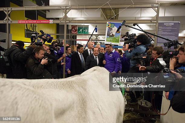 French President Francois Hollande visits the 50th International Agriculture Fair of Paris at the Porte de Versailles exhibition center on February...