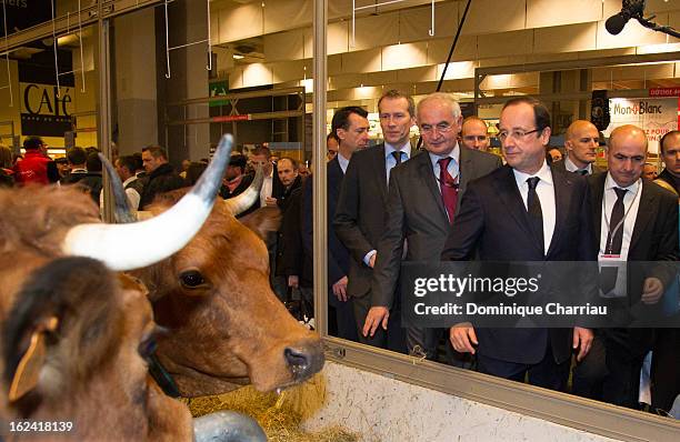 French President Francois Hollande visits the 50th International Agriculture Fair of Paris at the Porte de Versailles exhibition center on February...