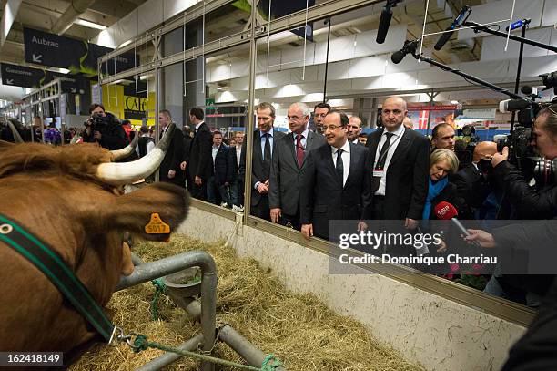 French President Francois Hollande visits the 50th International Agriculture Fair of Paris at the Porte de Versailles exhibition center on February...