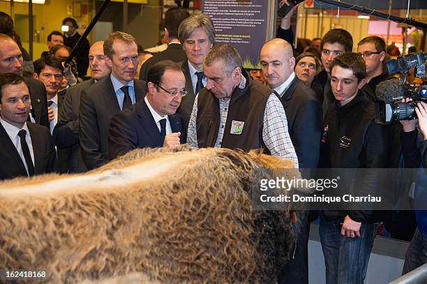 French President Francois Hollande visits the 50th International Agriculture Fair of Paris at the Porte de Versailles exhibition center on February...